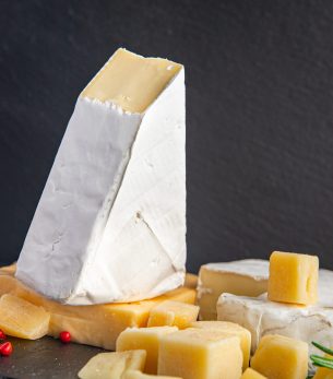 cheese-plate-assorted-cheeses-aperitif-antipasto-brie-camembert-cheddar-parmesan-other cheese-plate-assorted-cheeses-aperitif-antipasto-brie-camembert-cheddar-parmesan-other